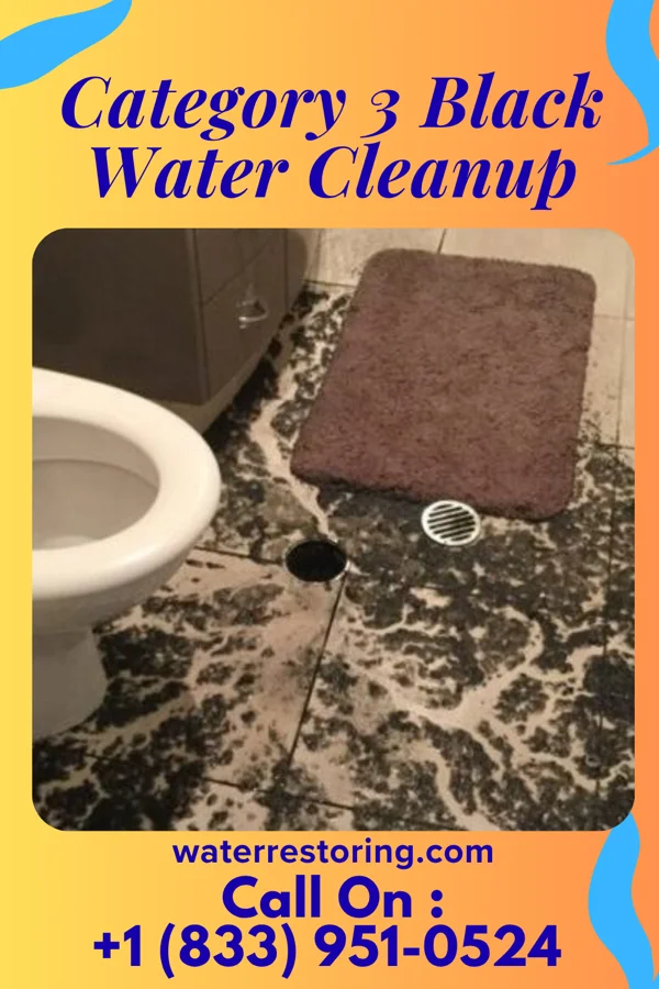 Category 3 Black Water Cleanup in Hebron, NE